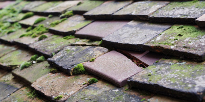 Catbrook roof repair costs